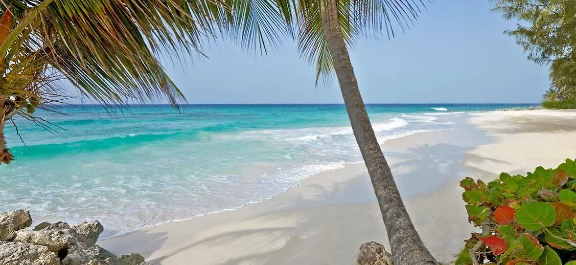 **** Resort Turtle Beach, A Tribute Portfolio All Inclusive Hotel Christ Church Barbados